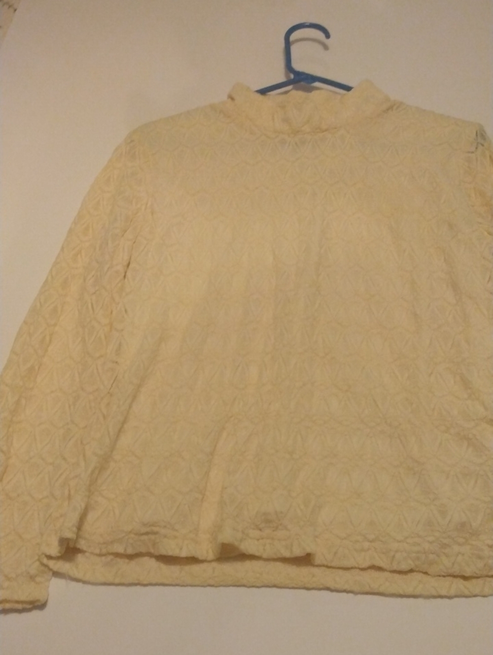 Coldwater Creek Cream Lace Turtleneck Top